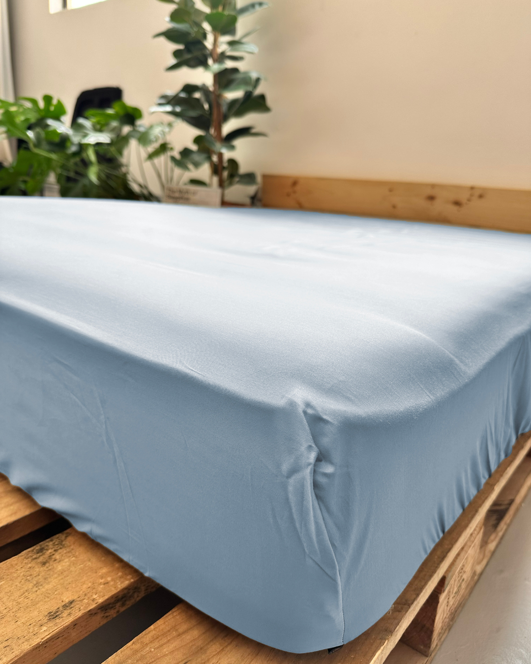Drap housse
