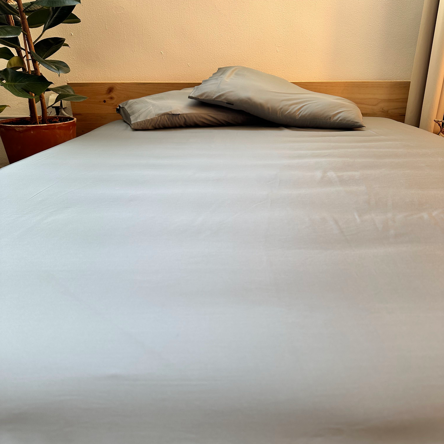 Drap housse