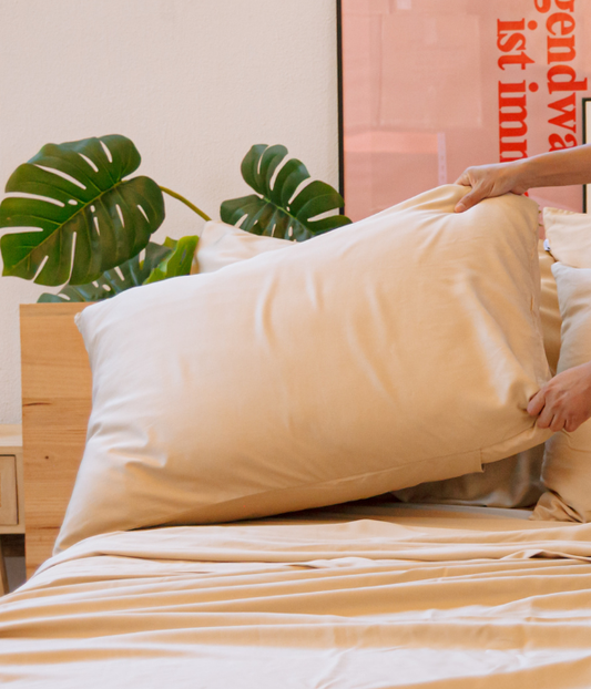 Fronhas de bambu creme exibidas na cama com lençóis às riscas e planta monstera em jarra de madeira